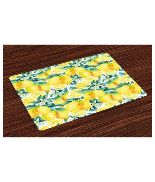 Contemporary Chic Placemats - Set of 4